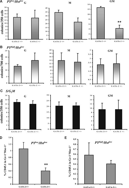 Figure 6. Impaired in vitro and in vivo functionality of Pyroninlow/Hoechstlow GMPs from GATA-2+/− marrow. GMPs from GATA-2+/+ and GATA-2+/− bone marrow were isolated by cell sorting and were subsequently stained with the RNA dye Pyronin Y (PY) and DNA dye Hoechst 33342 (Hst). Flow cytometry was performed to distinguish the PYlo or PYhigh in the G0/G1 fraction (Hstlow). Cells residing in PYlow/Hstlow or PYhigh/Hstlow were sorted and plated into colony-forming medium containing myeloid, megakaryocyte, and erythroid growth factors. Three replicates were used per genotype in each experiment. Colony formation was scored on day 10 (A) (B) GMPs from GATA-2+/+ and GATA-2+/− bone marrow were isolated by sorting and were subsequently stained with the DNA dye Hoechst 33342 (Hst) to enable discrimination of G0/G1 and S/G2/M populations The S/G2/M population was sorted and plated into colony-forming medium containing myeloid, megakaryocyte, and erythroid growth factors. Three replicates were used per genotype in each experiment. Colony formation was scored on day 10 (C). Data from multiple experiments are displayed (A-C) (PYlow/Hstlow, n = 5; G, P = .92; M, P = .06; GM, P = .002; PYhigh/Hstlow, n = 5; G, P = .47; M, P = .85; GM, P = .83; S/G2/M, n = 6; G, P = .71; M, P = .97; GM, P = .99). In vivo functionality was assessed by competitive transplantation of PYlow/Hstlow or PYhigh/Hstlow GMPs from each genotype (B6SJL-CD45.1) with C57BL/6-CD45.2 Lin-Sca-1+CD117+CD34− competitor stem cells into C57BL/6-CD45.2–irradiated recipients. Eight days after transplantation, the peripheral blood of the recipient mice were analyzed for the contribution of donor CD45.1 within the Gr-1+Mac-1+ compartment by flow cytometry. Data from multiple experiments are displayed for PYlow/Hstlow (D) (n = 3; P = .042) and PYhigh/Hstlow (E) (n = 3; P = .31). ** indicates statistical significance. Error bars indicate SEM. Statistical analysis was performed using the paired Student t test.