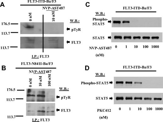 Figure 5. Inhibition of autophosphorylation of FLT3 and phosphorylation of STAT5 in mutant FLT3–expressing cells. (A) IP/Western: treatment of FLT3-ITD-Ba/F3 cells for 15 minutes with NVP-AST487 at 0.01 μM. A vertical line has been inserted to indicate a repositioned gel lane. (B) IP/Western: treatment of FLT3-N841I-Ba/F3 cells for 15 minutes with 0.01 or 0.1 μM NVP-AST487. (C) Immunoblot: treatment of FLT3-ITD-Ba/F3 cells for 2 hours with NVP-AST487 at 0 to 1000 nM. (D) Immunoblot: treatment of FLT3-ITD-Ba/F3 cells for 2 hours with PKC412 at 0 to 1000 nM.