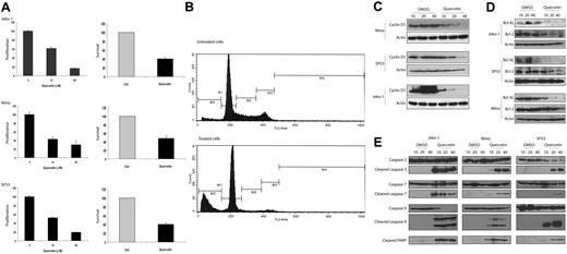Figure 6. Quercetin induce apoptosis in MCL. (A) MTS assay (left panel) and trypan blue exclusion test (right panel) were performed to assess the biologic effects of quercetin on MCL cell lines. All 3 cell lines showed a dose-dependent decrease in cell growth with quercetin treatment. Negative controls in all experiments were treated with the highest volume of DMSO used in the treated group. Results from the treated group are normalized to those of the negative controls. (B) Cell-cycle analysis by flow cytometry was performed using Mino cells with or without quercetin treatment. M1 represents the Go/G1 phase; M2, the S phase; M3/4, the G2/M phase; and M5, the subG0 apoptotic cell population. Compared with cells with quercetin treatment, treated cells showed a decrease in the proportion of cells in the S phase as well as the G2/M phase. In addition, there was a dramatic increase in the size of the subG0 cell population, in keeping with the occurrence of apoptosis. (C) All 3 MCL cell lines showed dose-dependent down-regulation of cyclin D1 after quercetin treatment at 24 hours. Negative controls were treated with DMSO in the same volumes used in the treatment group. (D) All 3 MCL cell lines showed dose-dependent down-regulation of Bcl-2 and Bcl-XL after quercetin treatment at 24 hours. Negative controls were treated with DMSO in the same volumes used in the treatment group. (E) All 3 MCL cell lines showed expression of cleaved caspases-3, -7, and -9, as well as PARP, after quercetin treatment at 24 hours. Negative controls were treated with DMSO in the same volumes used in the treatment group. Error bars indicate SD.