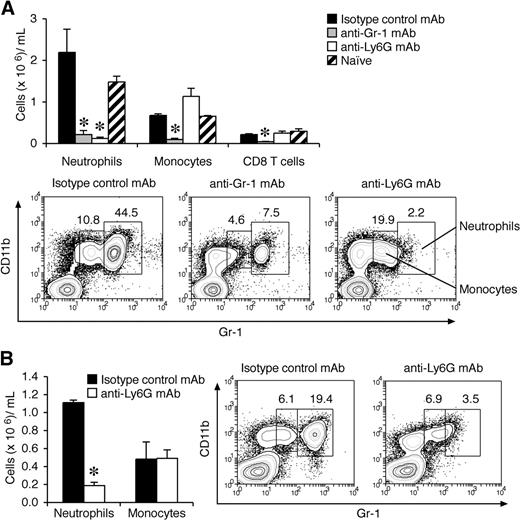 Figure 3. Effects of anti–Gr-1 (Ly6G/C) and anti-Ly6G mAbs on depletion of neutrophils before and after the onset of CIA. (A) Myeloid and CD8 T-cell counts in peripheral blood (cells × 106/mL blood; mean ± SEM) from mice with high G-CSF levels (day 22 after CII/CFA immunization). WT DBA/1 mice were primed with CII/CFA, then injected intraperitoneally on days 15, 17, and 20 with 0.5 mg mAb (anti–Gr-1, anti-Ly6G, or 1:1 mix of rat IgG2a and rat IgG2b) and analyzed on day 22 (n = 4 mice per treatment). *P < .05. (B) Myeloid cell counts in WT DBA/1 mice treated with either isotype control mAb or anti-Ly6G mAb 14 days after the onset of CIA. *P < .001. Representative flow cytometric profiles are shown in panels A and B. Numbers indicate the percentage of total cells within the gate.