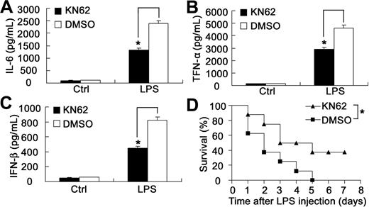 Figure 7. Blockade of CaMKII activation by KN62 protects mice from endotoxin shock after lethal LPS challenge. (A-C) Sex- and age-matched mice were injected intraperitoneally with 25-mg/kg doses of KN62 (the working concentration of KN62 is 7.2 g/L) (n = 8) or equal volume of dimethyl sulfoxide (n = 8) 30 minutes before intraperitoneal administration with 10 mg/kg body weight of LPS. Serum samples were obtained at 1.5 hours after LPS injection. Serum IL-6 (A), TNF-α (B), and IFN-β (C) were quantified by ELISA. Data represent mean plus or minus SD. *P < .05. Three experiments were performed with similar results. (D) Survival curve of mice (n = 8 per group) treated as described in panels A to C. The survival of the LPS-challenged mice was monitored for 7 days. *P < .05. Similar results were obtained in 3 independent experiments.