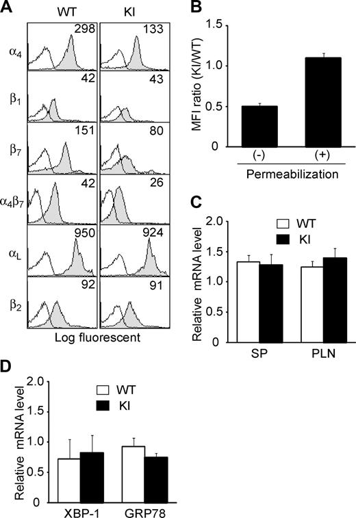 Figure 2. Expression of integrins in α4-R/AGFFKR mice. (A) Cell-surface expression of integrins on splenic lymphocytes from wild-type (WT) and α4-R/AGFFKR (KI) mice. Numbers denote mean fluorescent intensity (MFI). Background binding of isotype control antibodies is shown with open histograms. (B) Cell-surface and total (cell surface plus intracellular) α4 protein expression in WT and KI splenocytes. Expression of α4 integrins was measured by immunofluorescent cytometry in the absence (for cell-surface expression) or presence (for total expression) of permeabilization treatment. Ratios of MFI values are shown. (C) α4 mRNA expression in spleen (SP) and peripheral lymph node (PLN) cells. (D) mRNA expression of GRP78 and the spliced form of XBP-1, markers to probe levels of UPR in WT and KI splenocytes. (C,D) mRNA expression was measured by a quantitative RT-PCR and normalized by GAPDH mRNA levels. (B-D) Data represent the mean plus or minus SEM of at least 3 independent experiments.