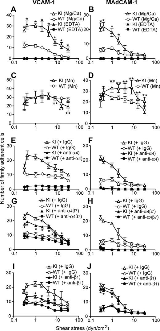 Figure 3. Enhanced adhesive interactions of α4-R/AGFFKR splenocytes with VCAM-1 and MAdCAM-1 under shear stress. Splenocytes from wild-type (WT) and α4-R/AGFFKR (KI) mice were infused in 1 mM Mg2+/Ca2+ (A,B,E-J) or 1 mM Mn2+ (C,D) into a parallel wall flow chamber and allowed to accumulate on VCAM-1 (A,C,E,G,I) or MAdCAM-1 (B,D,F,H,J) substrates at 0.3 dyne/cm2 for 45 seconds. Shear stress was incrementally increased every 10 seconds from 0.5 to 32 dyne/cm2, and adhesive interactions of cells with the substrates were recorded and analyzed. In some experiments (E-J), cells were pretreated for 10 minutes at room temperature with blocking mAbs to α4 (PS/2, 30 μg/mL), α4β7 (DATK32, 30 μg/mL), or β1 (CBL 1333, 30 μg/mL) integrins or isotype control antibodies (IgG, 30 μg/mL). Data represent the mean plus or minus SEM of 3 independent experiments. P value less than .01 versus **KI in Mg2+/Ca2+ or *WT.