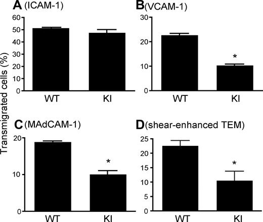 Figure 4. Perturbed transmigration of α4-R/AGFFKR splenocytes. (A-C) Transmigration of WT and KI splenocytes toward a CXCL12 gradient through ICAM-1–coated (A), VCAM-1–coated (B) or MAdCAM-1–coated (C) permeable inserts was examined using a modified Boyden chamber assay with a Transwell tissue culture system. (D) Flow-enhanced TEM through b.End.3 endothelial monolayers. TEM was studied in the presence of 2.0 dyne/cm2 shear stress. (A-D) Data are expressed as the mean plus or minus SEM of triplicates from 3 independent experiments. *P < .01 versus WT.