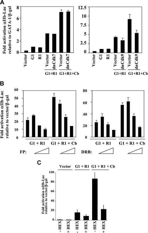 Figure 1. Involvement of P-TEFb in GATA-1 cooperation with RUNX1/CBFβ. (A,B) K562 cells underwent transient transfection with the αIIb-598–luciferase reporter plus expression constructs for GATA-1 (G1), RUNX1 (R1), and CBFβ (Cb) as indicated. Results are mean of 3 independent experiments plus or minus SEM and are expressed as fold activation relative to GATA-1 alone or to vector. All transfections were normalized with cotransfected pCMVβGAL. (A) Transfections also included expression constructs for the dominant-negative mutants Cdk7 KK41/42NQ (dnCdk7) and Cdk9 D167N (dnCdk9). (B) Transfectants were treated the final 24 hours (of 48-hour incubation) with 100, 200, and 300 nM of flavopiridol (FP) or with 25, 50, and 100 μM of DRB. (C) Luciferase reporter assays were conducted as in panel A. K562 transfections included an expression construct for HEXIM1 (HEX) as indicated.