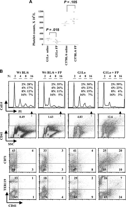Figure 5. Synthetic interaction of megakaryocyte GATA-1 deficiency with P-TEFb inhibition. (A) GATA-1Lo mice (G1Lo) and age-matched wild-type C57BL/6 received 5 mg/kg per day of flavopiridol (FP; 5 mice per group) or saline control (4 mice per group) for 7 consecutive days. Blood samples from the retro-orbital plexus were then analyzed on a Hemavet automated analyzer for platelet counts. (B) Mice, as in panel A, received a 9-day course of flavopiridol (FP) at the same dose or saline. Marrows were then analyzed by FACS. In rows 1 and 2, marrow cells were costained with anti-CD41 and propidium iodide (PI). The CD41+ cells (percentages indicated in row 2) were gated for ploidy analysis using FlowJo software. Numbers in row 1 indicate percentage of total cells within each ploidy category. In rows 3 and 4, marrow cells were costained antibodies to CD41, TER119 (erythroid marker), and CD71 (transferrin receptor), with quadrant percentages as indicated.