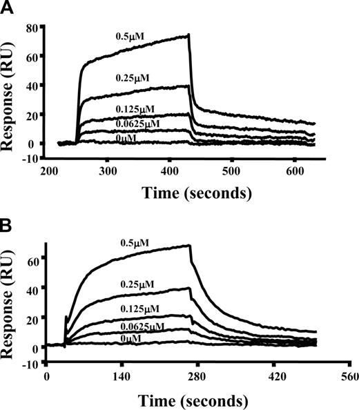 Figure 3. Interaction of spectrin or αR4 with Lu(v13) as assessed by surface plasmon resonance assay. Spectrin or GST-αR4 was immobilized onto CM5 sensor chip. Lu(v13) peptide at different concentrations (0, 0.625, 1.25, 2.5, and 5 μM) was injected at 20 μL/min over the surface in a BIAcore 3000 instrument. The figure shows dose-response curves of Lu(v13) binding to immobilized spectrin (A) or to immobilized GST-αR4 (B).