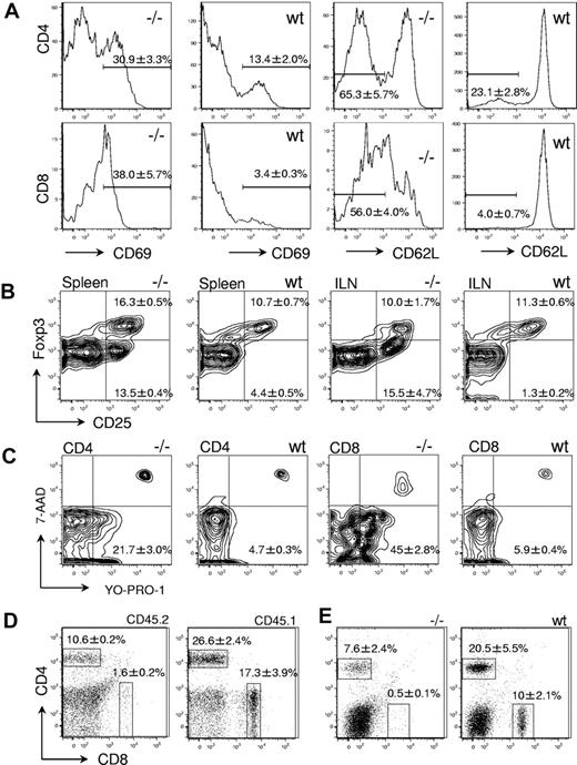 Figure 3. Characterization of peripheral T cells in Gimap5−/− mice. (A) Representative histograms of CD69 and CD62L expression in CD4+ (top) and CD8+ splenocytes (bottom). Increased expression of CD69 and shedding of CD62L indicate a state of increased activation, compared with wild-type mice. (B) The frequency of CD4+CD25+FoxP3+ regulatory T cells in the spleen or the inguinal lymph node (ILN) is unaltered in Gimap5−/− mice. (C) Apoptosis is increased among peripheral T cells from Gimap5−/− mice. CD4+ (left) and CD8+ (right) splenocytes were stained with the dyes YO-PRO-1 and 7-AAD to identify early apoptotic (YO-PRO-1+7-AAD−) and dead (YO-PRO-1+7-AAD+) T cells. (D) Abundance of CD45.2+ gimap5−/− CD4 and CD8 T-cell populations in lethally irradiated CD45.1+ wild-type recipients 8 weeks after transplantation with unfractionated BM from CD45.2 Gimap5−/− mice. Overall representation of splenic CD45.2 T cells in the example shown was approximately 60%. The relative abundance of donor-derived CD8 and CD4 cells captured by the indicated gates is given as average percentage plus or minus SD (n = 3). The ratio between CD4 and CD8 cells is significantly different between Gimap5−/− donor cells and residual wt recipient cells (P < .05). (E) Jak3−/− mice were sublethally irradiated and transplanted with unfractionated BM from wild-type (wt) or Gimap5−/− mice (−/−). Relative abundance of CD4 and CD8 cells represents average plus or minus SD (n = 3). The ratio between CD4 and CD8 cells is significantly different between Gimap5−/− and wild-type donor cells (P < .05).