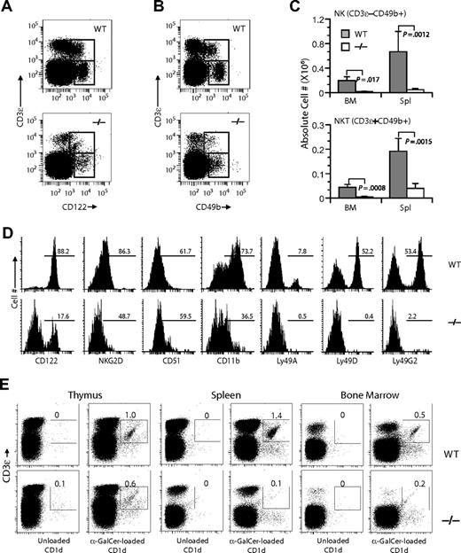 Figure 5. Gimap5−/− mice lack NK and NKT cells. Development of NK and NKT cells is severely impaired in Gimap5−/− mice. (A) Representative analysis of BM from Gimap5−/− and WT mice stained with anti–CD3-ϵ and anti-CD122; numbers indicate percentage of cells (average ± SD) in gate. CD3-ϵ−CD122+ NK and CD3-ϵ+CD122+ NKT are significantly reduced in Gimap5−/− mice (NK: P = .004; NK-T: P = .002). (B) Representative analysis of BM from Gimap5−/− and WT mice stained with anti–CD3-ϵ and CD49b. (C) The absolute numbers (average ± SD) of CD3-ϵ−CD49b+ NK or CD3-ϵ+CD49b+ NKT cells were significantly reduced in the Gimap5−/− mice. Absolute cell numbers were calculated as percentage cells times percentage lymphocyte times cellularity of spleen (Spl) or BM (n = 6/group). P values calculated by the Student t test. (D) Expression of developmental markers in BM-derived fresh Gimap5−/− CD3-ϵ−CD49b+ NK cells is severely reduced. The frequencies of cells positive for each marker among CD3-ϵ−CD49b+ NK cells are shown along with representative histograms. Gates were set using unstained or nonspecific isotype antibody controls (not shown). Data are representative of 4 mice/genotype. (E) Gimap5−/− mice lack CD1-αGalCer+ NKT cells. Single-cell suspensions prepared from the indicated tissues of wild-type mice (WT) and Gimap5−/− mice (−/−) were stained with anti–CD3-ϵ mAb and α-GalCer–loaded CD1d dimers. Numbers represent percentage Vα14+ CD3-ϵ+ iNKT cells in the gates shown. Anti–CD3-ϵ mAb and unloaded CD1d dimers were used as background controls. Data presented are representative of at least 3 independent analyses.