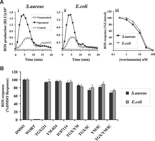 Figure 4. Characterization of ROS responses in GFP-PX-RAW cells in response to S aureus and E coli. RAW264.7 cells expressing a GFP-PX probe for PtdIns(3)P (GFP-PX-RAW cells) were prepared as described in “Preparation of cells.” (A) Cells (5 × 105/well) were added to 1 × 107 unopsonized (▵) or serum-opsonized (■) S aureus (i) or E coli (ii), and chemiluminesence recorded as described in Figure 1. ◇ represent ROS generation in the absence of bacterial addition. Incubations were performed in duplicate, and data (mean ± range) from one representative experiment of 3 are shown, and are expressed as relative light units/sec (RLU/s). (iii) GFP-PX-RAW cells were preincubated with 0-100 nM wortmannin in the presence of luminol as described in “Measurement of ROS production.” Cells (5 × 106/well) were added to 107 serum-opsonized S aureus (■) or E coli (), and light emission measured over 40 minutes as described in Figure 1. All incubations were performed in duplicate and data from at least 3 experiments (mean ± SEM, n ≥ 6), are accumulated light emission, expressed as a percentage of response in the absence of wortmannin. (B) GFP-PX-RAW cells were preincubated for 10 minutes at 37°C with either DMSO vehicle control or 100 nM wortmannin, 0.1 μM TGX221, 3 μM YM-024, 3 μM IC87114 as indicated, alone or in combination, or in the presence of 1 μM AS252424, before addition of serum-opsonized S aureus (■) or E coli (). ROS generation was measured as described in Figure 1. Data are mean plus or minus SEM (n ≥ 6) and are expressed as a percentage of WT untreated responses.