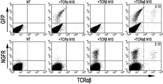 Figure 7. Retroviral introduction of both an exogenous TCR-α and TCR-β chain in RCD cell lines P2 and P3 restores TCR-αβ surface expression. FACS analysis after retroviral transduction of cells from RCD cell line P3 with the TCR-α and/or TCR-β chain from T-cell clone N10. (Top panel) GFP- (TCR-α from N10) and TCR-αβ expression on nontransduced P3 cells (NT), P3 cells transduced with the TCR-α chain from T-cell clone N10 (+TCR-α N10), P3 cells transduced with the TCR-β chain from T-cell clone N10 (+TCR-β N10), and P3 cells with both the TCR-α and TCR-β chain from T-cell clone N10 (+TCR-αβ N10). (Bottom panel) NGFR- (TCR-β from N10) and TCR-αβ expression, also on nontransduced P3 cells (NT), P3 cells transduced with the TCR-α chain from T-cell clone N10 (+TCR-α N10), P3 cells transduced with the TCR-β chain from T-cell clone N10 (+TCR-β N10), and P3 cells with both the TCR-α and TCR-β chain from T-cell clone N10 (+TCR-αβ N10). Percentages of double-positive cells are indicated. FACS analysis after retroviral transduction of cells from RCD cell line P2 with the TCR-α and/or TCR-βchain from T-cell clone N10 showed similar results.