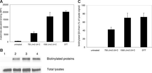 Figure 5. UV-C irradiation induces disulfide bridge reduction in αIIbβ3. (A) Platelets were either left untreated, irradiated with 2 doses of UV-C light, or treated with DTT, and then incubated with maleimide coupled to the fluorescent dye alexa633 to label free thiol groups. Binding of the probe was assessed by flow cytometry. Data represent the mean plus or minus SEM of 4 experiments. (B) After the treatments described under panel A, designated 1-4, platelets were incubated with BMCC to biotinylate free thiol groups. Biotinylated proteins were then precipitated with streptavidin-agarose beads. The top row shows a Western blot of the precipitates (after incubation with a MoAb specific for β3) to detect biotinylated β3 chains, the bottom row shows a Western blot with the same antibody of the total lysates. The blots shown are representative for 3 experiments. (C) Bar graph depicting the binding of the β3 antibody to the immunoblots of the precipitates as quantified on a Odyssey Infrared Imaging system and calculated as percentage of total β3 present in the lysates to correct for input differences. Data represent the mean plus or minus SEM of 3 experiments.