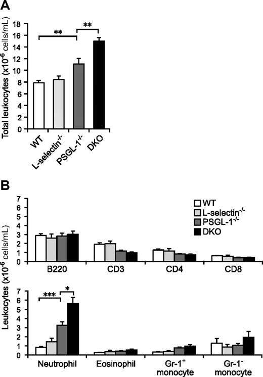 Figure 1. Peripheral blood leukocyte counts. (A) Total leukocyte counts. Blood was collected from the tail vein of 6 male mice of each genotype. The total leukocytes were counted on a hemocytometer. (B) Leukocyte subset counts. Flow cytometry was used to determine the fraction of each subset. Neutrophils were determined as Gr-1highF4/80low cells, eosinophils as Gr-1intermediateF4/80high cells (these cells are also very high in SSC), and monocytes as Gr-1highF4/80high and Gr-1-F4/80high cells. Values are means plus or minus SEM; *P < .05; **P < .01; ***P < .001.