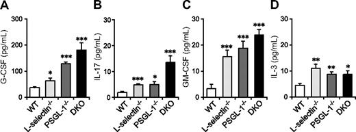 Figure 2. Serum levels of G-CSF, IL-17, and GM-CSF are elevated in mice deficient in both L-selectin and PSGL-1. Serum levels of G-CSF (A), GM-CSF (C), and IL-3 (D) were determined by a Bio-Plex cytokine assay. Serum levels of IL-17 (B) were determined by ELISA. Data are expressed as means plus or minus SEM from 8 mice per group. *P < 0.05; **P < 0.01; ***P < .001 versus WT.