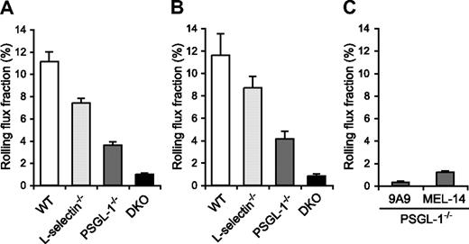 Figure 5. Leukocyte rolling flux fraction in TNF-α–treated cremaster muscle venules. (A,B) Leukocyte rolling flux fraction in 2.5-hour (A) and 6-hour (B) TNF-α–treated cremaster muscle venules of WT, L-selectin−/−, PSGL-1−/−, and DKO mice. (C) Effect of anti–E-selectin and anti–L-selectin mAbs on leukocyte rolling in 2.5-hour TNF-α–treated cremaster muscle venules of PSGL-1−/− mice. Leukocyte rolling flux fractions were determined in PSGL-1−/− mice that had received the anti–E-selectin mAb 9A9, the F(ab′)2 fragments of the anti–L-selectin mAb MEL-14, or isotype controls.