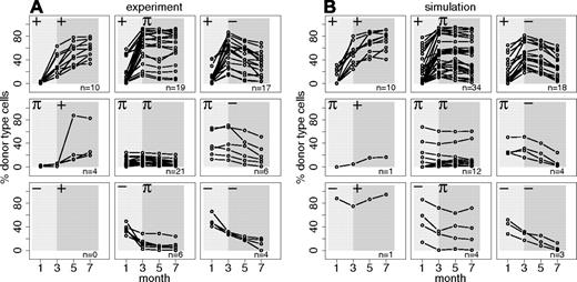 Figure 3. Qualitative classification of individual engraftment kinetics. (A) Shown are 87 previously published18 repopulation kinetics of mice transplanted with clonally derived HSC grafts obtained by in vitro or in vivo limiting dilution. Shaded areas illustrate early (light) and late (dark) repopulation phases. Whereas +/− indicate an increase or decrease in the engraftment levels of more than 10% between the first and the last measurement in the given period, π refers to a constant (ie, change of less than 10%) time progression. (B) Shown are 87 representative simulated engraftment kinetics according to the given classification scheme. Underlying model parameters d and fα(Ñ) are randomly sampled from the best-fit region shown in Figure 4B.
