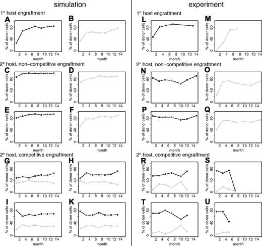 Figure 5. Simulation results and experimental data on individual clone competition. (A,B) Simulated primary host engraftments of 2 clones with slightly differing parameters: (A) d = 1.0655, fα(Ñ) = 0.0075; (B) d = 1.0665, fα(Ñ) = 0.008. (C,E) 2 representative examples of secondary engraftments of the clone shown in panel A (ie, in silico transplantation of 50 ×p1 primary HSCs together with 4 residual secondary host HSCs). p is denoting the proportion of primary engraftment level, which is p1 = 0.85 in this particular example. (D,F) See panels C and E, but for the clone shown in panel B, p2 = 0.75. (G-K) A total of 4 representative examples of in silico cotransplantation of 50 × p1 cells of the clone shown in panel A plus 50 × p2 cells of the clone shown in panel B together with 4 residual secondary host cells. Further simulation examples of these settings can be found in Figure S4. (L,M) Experimentally observed engraftment kinetics (twice-monthly measurements) of 2 clonally repopulated mice. (N-Q) Engraftment kinetics for the transplantation of 5 × 106 BM cells of either one or the other clone (shown in panels L and M, respectively) in 2 lethally irradiated secondary B6 hosts. (R-U) Engraftment kinetics for cotransplantation of 2 × (5 × 106) BM cells from both primary hosts into 4 lethally irradiated secondary B6 hosts (Cho et al34). Color (black/gray) always illustrates relationship to primary host.