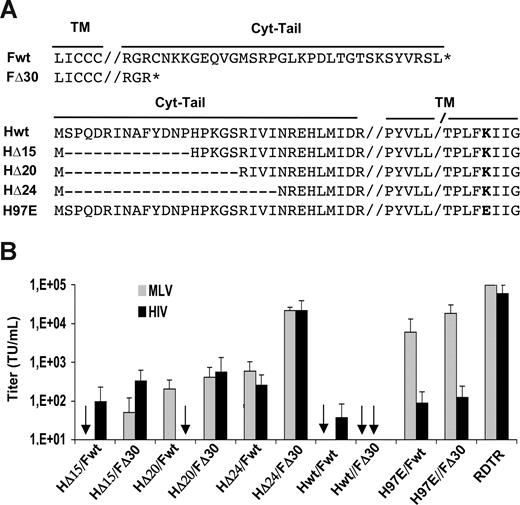 Figure 1. Efficient pseudotyping of MLV- and HIV-derived vectors with wild-type or mutant F and H MV-gps. (A) Schematic presentation of wild-type or mutant F and H gps from the Edmonston MV strain. The double vertical lines (//) separate the transmembrane sequences (TM) from the cytoplasmic domain (cyt-tail). The single line (/) indicates that part of TM is not shown. HΔ15, HΔ20, and HΔ24 represent H mutants with progressive deletions of the cytoplasmic tail. H97E contains a single amino acid mutation at position 97 in the TM region of wt H. FΔ30 contains only 3 residual amino acids of the F wt cytoplasmic tail. (B) 293T cells were incubated with serial dilutions of GFP-encoding MLV or HIV vectors that were pseudotyped with Hwt, HΔ15, HΔ20, HΔ24, or H97E in combination with Fwt or FΔ30. Control incubations were performed with RDTR gp–pseudotyped vectors. Cells were analyzed for GFP expression 72 hours after transduction by FACS analysis. Titers are expressed as TU/mL. Data are shown as means plus or minus SD; n = 6.