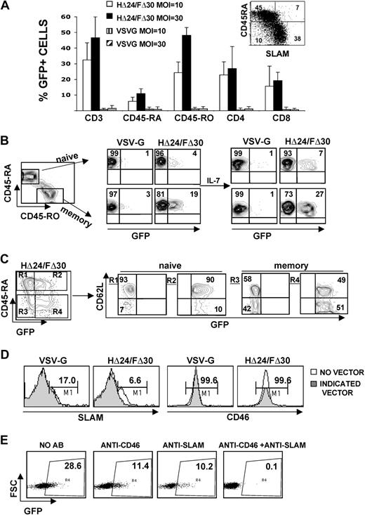 Figure 5. The HΔ24/FΔ30-displaying LVs efficiently transduce quiescent adult T cells. (A) Highly purified resting adult T cells were isolated by negative antibody-mediated selection to avoid cell activation and then transduced with HΔ24/FΔ30- or VSV-G–pseudotyped HIV-GFP vectors at an MOI of 10 or 30 in the absence of exogenous stimuli. Three days after transduction, surface staining for naive and memory subsets was performed by anti-CD45RA/anti-CD45RO double staining. In parallel, surface staining for the CD3+, CD4+, and CD8+ T-cell subsets was performed and the percentage of GFP expression for each of these T-cell subsets was analyzed by FACS (means ± SD; n = 5). Inset shows CD45RA versus SLAM expression on freshly isolated total CD3+ T cells (B) Resting T cells were transduced with HΔ24/FΔ30- or VSV-G–pseudotyped LVs at an MOI of 10. After 3 days, part of the transduced cell cultures was continued in the presence of rIL-7 for 3 more days to verify stable GFP expression. For both culture conditions, surface staining for naive and memory subsets was performed by anti-CD45RA/anti-CD45RO double staining. Dot blots represent the percentage of GFP+ cells in the CD45RA+ naive T cells (top row) and the percentage GFP+ cells in the CD45RO+ memory T cells (bottom row). Data are representative of 6 experiments. (C) Resting T cells were transduced with HΔ24/FΔ30- or VSV-G–pseudotyped LVs at an MOI of 30. Surface staining for naive T cells was performed by anti-CD45RA staining. Dot blot represents the GFP+ CD45RA+ naive T cells (top right quadrant R2) and the GFP+ CD45RA− memory T cells (bottom right quadrant R4). For each gate, R1, R2, R3, and R4, the expression of CD62L is shown. Data are representative of 3 experiments. (D) Surface expression of SLAM or CD46 receptors on resting adult CD3+ cells after transduction with HΔ24/FΔ30- or VSV-G–pseudotyped lentivectors at an MOI of 10. (E) Resting adult T cells were incubated with or without anti-SLAM or anti–CD46 receptor–blocking antibodies for 3 hours and subsequently transduced with HΔ24/FΔ30-LVs or VSV-G-LVs at an MOI of 10. The percentage of GFP+ cells was analyzed by FACS 3 days after transduction.