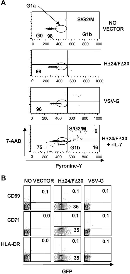 Figure 6. Comparison of cell-cycle entry and activation of adult T cells following exposure to HΔ24/FΔ30-LVs or VSV-G-LVs. Resting adult CD3+ T cells were transduced with HΔ24/FΔ30- or VSV-G–displaying LVs, or no vector, and as a control IL-7–prestimulated T cells were transduced with HΔ24/FΔ30-displaying LVs. (A) Cell-cycle progression was monitored by simultaneously visualizing the RNA (pyronin-Y) and DNA (7-AAD) content of the T cells at day 3 of incubation. The percentages of cells in the G0/G1a, G1b, and S/G2/M phase of the cell cycle are indicated in the dot blots. (B) Surface staining for CD69, HLA-DR, and CD71 versus GFP+ cell expression is shown at day 3 after transduction. The percentage of activation marker–expressing GFP+ cells is indicated in the top right quadrant; the percentage of GFP+ cells not expressing the activation marker is indicated in the bottom right quadrant.