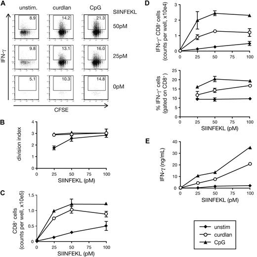 Figure 1. Curdlan-stimulated DCs prime CTLs in vitro. (A) CFSE-labeled OT-I T cells were cultured together with C57Bl/6 BMDCs in the presence of the indicated concentrations of SIINFEKL peptide and either curdlan, CpG, or no innate stimulus (unstim). Graphs show CFSE dilution versus intracellular IFN-γ on day 3 of culture. Numbers indicate percent of IFN-γ+ cells. (B) The extent of proliferation of the T cells from experiment shown in panel A calculated as division index. (C) CD8+ T-cell counts per well from the experiment shown in panel A. (D) IFN-γ+CD8+ T-cell counts per well (top) and percentage of IFN-γ+ cells (bottom) from the experiment shown in panel A. (E) Samples from the experiment shown in panel A were restimulated on day 3 with SIINFEKL-pulsed targets for 8 hours and IFN-γ levels in the supernatant were determined by ELISA. Data in panels B through E are mean plus or minus standard deviation (SD) of duplicate wells.