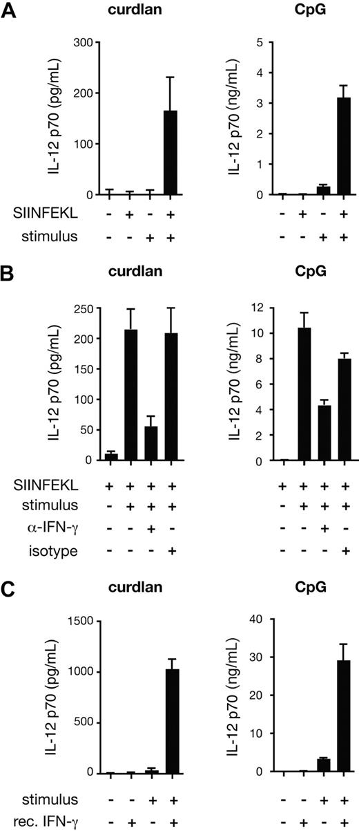 Figure 4. Curdlan-stimulated DCs produce IL-12 p70 in an IFN-γ–dependent manner. (A) C57BL/6 BMDCs and OT-I were cocultured in the presence or absence of SIINFEKL peptide, curdlan (left) or CpG (right) as indicated. (B) As in panel A, but with the addition of anti–IFN-γ blocking antibody or rat IgG1 isotype-matched control antibody. (C) C57BL/6 BMDCs were stimulated with curdlan or CpG and recombinant IFN-γ as indicated. Data in all panels are IL-12 p70 levels in the supernatant determined after 24 hours (mean plus or minus SD of triplicate wells).