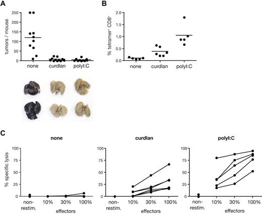Figure 7. Curdlan-dependent CTL crosspriming protects mice from tumor challenge. C57Bl/6 mice were immunized in both hind footpads with OVA protein alone (none) or together with curdlan or polyI:C as indicated. Melanoma cells were injected intravenously 5 to 7 days after immunization and tumor growth was analyzed 18 to 22 days thereafter. (A) Data represent tumor counts in each mouse from 2 pooled experiment (n = 10-11 mice/group). Lungs of 2 representative mice from each group are shown below the graph. (B) Frequency of SIINFEKL-H2Kb tetramer+ CD8+ cells in spleens from mice of 1 of 2 experiments shown in panel A. (C) Splenocytes from individual mice in 1 of 2 experiments shown in panel A were restimulated in vitro with SIINFEKL peptide. Data show CTL activity after restimulation as in Figure 6D.