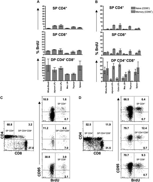 Figure 5. Increased proliferative capacity in DP CD4+CD8+ T cells. (A) Bar charts showing the mean BrdU+ proliferative responses in different T-cell subsets from different tissues. (B) Mean BrdU expression in naive (CD95−) and memory (CD95+) T-cell subsets are shown from different tissues in normal, uninfected neonates 12 to 21 days old. Each bar represents mean plus or minus SEM. Representative flow cytograms show increased proliferative capacity in DP T cells in whole blood (C) and jejunum LPLs (D). Note that memory (CD95+) cells have higher proliferative responses compared with naive (CD95−) cells. Percentages of CD95+ and BrdU+ cells are shown in each quadrant (C and D).