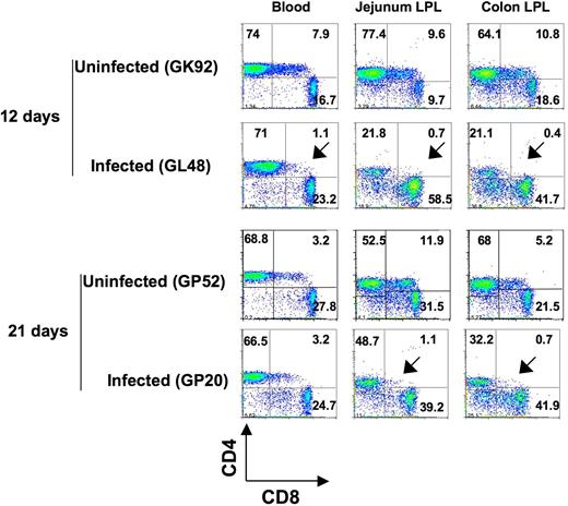 Figure 6. Early loss of DP T cells in intestinal tissues in SIV infection. Dot plots comparing T-cell subsets from intestinal (jejunum and colon) tissues and peripheral blood of 2 normal, uninfected neonatal macaques (GK92 and GP52) to age-matched SIVmac251-infected (GL48 and GP20) neonates. Plots were generated by gating on lymphocytes and then through CD3+ T cells. Note that a more dramatic loss of DP CD4+CD8+ T cells was detected in intestinal tissues in infected macaques very early in infection (as indicated by the arrows) compared with other tissues. The percentages of CD4+ and CD8+ cells are shown in each quadrant.