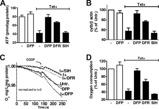 Figure 5. Effects of various chelators on metabolic parameters and mitochondrial DNA content in frataxin-deficient cells. (A) Mitochondrial LIP was measured as in Figure 2 in T-rex cells induced with 1 μg/mL Tet for 6 days. The chelators DFR or SIH (50 μM in all experiments shown in this figure) were added overnight (and maintained during the experiment); 50 μM H2O2 supplementation led to a significant increase in fluorescence only in untreated Tet+ cells (n = 3, P < .05, one-tailed paired t test). (A) Cells treated overnight with 50 μM of the chelators indicated and induced with 1 μg/mL tetracycline for 6 days were harvested, detergent-extracted, and subjected to luciferase-based ATP assay. ATP content was significantly lower only in Tet+ cells without or with SIH treatments (n = 3, P < .05, 1-way ANOVA with Dunnett post-hoc test). (B) Untreated and Tet+ (6-day culture) cells were treated overnight with 50 μM of the chelators indicated. Their total DNA was extracted and subjected to real-time quantitative PCR with primer pairs for the mitochondrial DNA markers cytochrome b and the control gene β-actin. A significant decrease in cytochrome b DNA content was observed only in Tet+ cells alone and Tet+ cells treated with SIH or DFR (P < .05, one-way ANOVA with Dunnett post-hoc test). (C) Cells treated as indicated (t+, 6-day Tet, chelator treatments are 50 μM overnight) were resuspended in full medium, and their oxygen consumption was recorded online with a Clark electrode; CCCP, 50 μM CCCP was added at the indicated time. The oxygen levels in the reaction vessel are given as values normalized to those attained at time 0 (after normalization to milligrams of protein). The calculated rates of oxygen consumption are indicated in panel D. Significant decrease in oxygen consumption was only observed in Tet+ cells without and with DFR and SIH (n = 3, P < .05, 1-way ANOVA with Dunnett post-hoc test).