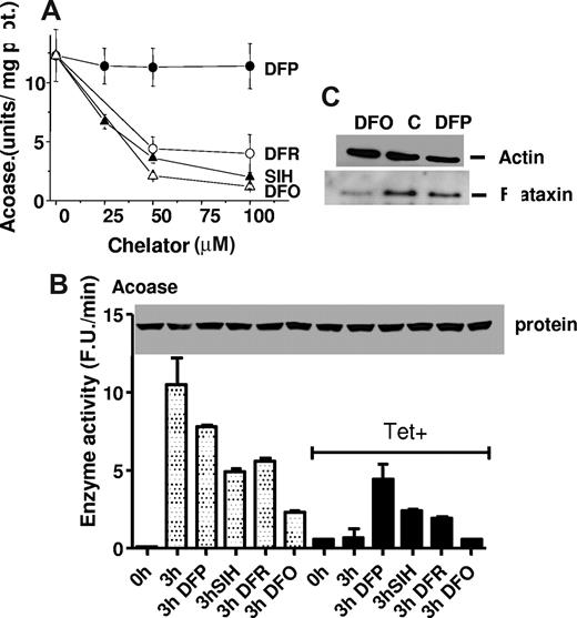Figure 6. Comparative effects of DFP and other iron chelators on aconitase activity and on its regeneration after iron depletion. (A) Aconitase activity (units are in nanomoles of NADPH per minute) in lysates of T-rex–untreated cells subjected for 16 hours to increasing concentrations of chelators in normal culture conditions: DFP (●), DFO (○), DFR (▴), and SIH (▵). Aconitase activity was significantly reduced by all chelators, except DFP (n = 4, P < .05, one-way ANOVA with Dunnett post-hoc test). (B) T-rex cells induced (Tet+) or not with tetracycline for 6 days were treated for 30 hours with 150 μM DFO, washed, and recultured for 3 hours in full medium with or without 50 μM of the chelators indicated. Cells were subsequently lysed, and lysates were subjected to spectrofluorimetric aconitase activity assay and to immunoblotting with antibodies against mitochondrial aconitase (inset). The Tet+ systems with no supplementation or with DFO supplementation were the only ones that showed no significant increase after recovery (n = 3, P < .05, 1-tailed paired t tests). (C) T-rex 293 cells (not induced) were not treated or treated overnight with 100 μM DFO (DFO) or DFP (DFP). Cells were subsequently lysed, and 50 μg cell lysates was subjected to SDS-PAGE and immunoblotting using antiactin (top panel) and antifrataxin (bottom panel) antibodies.
