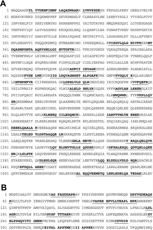 Figure 2. LC-MS/MS identification of 225- and 45-kDa proteins. After LC-MS/MS analysis, 225-kDa protein band peptide sequence matches to MYHIIA (A) and 45-kDa protein band peptide sequence matches to cytoplasmic beta-actin (B) are shown in bold and are underlined.