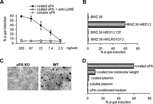 Figure 2. Specific and Ly49E-dependent activation of H/ED12 cells by coated uPA. (A) CPRG analysis of H/ED12 cells incubated in the presence of indicated amounts of uPA. uPA was coated onto the wells (■) or added soluble during incubation (). No (, ■) or anti-Ly49E (4D12) F(ab′)2 fragments (□) were added. (B) CPRG analysis of the indicated reporter cells incubated in uPA-coated wells (200 ng/well). (C) X-gal staining of H/ED12 cells incubated with uPA KO or WT FD14 intestinal cells. Representative data from 1 of 3 experiments are shown (original magnification ×100). (D) CPRG analysis of H/ED12 cells incubated with the indicated proteins (200 ng/well) or with medium preincubated in uPA-coated wells (200 ng/well) (referred to as uPA-conditioned medium). CPRG data are expressed as mean plus or minus SD of 3 experiments.