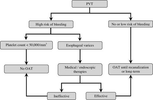 Figure 2. Flow diagram for treatment of portal vein thrombosis. PVT indicates portal vein thrombosis; SVT, splanchnic vein thrombosis; and OAT, oral anticoagulant therapy.