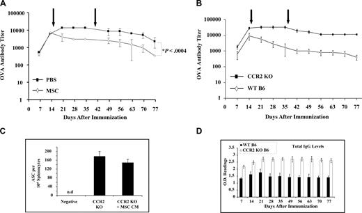 Figure 5. MSC injection in vivo decreases IgG titers. (A) MSC injection in OVA-immunized mice can lead to faster clearance of IgG titers. After immunization of B6 mice with rOVA, MSCs were injected intraperitoneally at 4-week intervals and bled weekly for anti-OVA IgG titer by ELISA. MSCs led to a faster decrease in IgG levels as opposed to the control group. (B) ELISPOT assay using CCR2−/− cells. CCR2−/− mice are not affected by MSCs. CCR2−/− mice were immunized with rOVA along with WT B6 mice and injected with MSC as explained in panel A. High IgG titers were developed in CCR2−/− with no significant decrease after MSC injection. (C) Total IgG titers. In vitro ELISPOT performed with CCR2−/− and WT B6 splenocytes demonstrates that CCR2−/− cells are refractory to antagonist CCL2 (n = 3/group). (D) Total IgG titers. Total IgG levels screened by ELISA shown that the overall circulating IgGs were not affected by MSC injection.