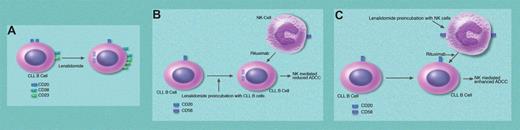 Lenalidomide can modulate levels of CLL B-cell and NK receptors and NK cell–mediated ADCC. Panel A shows the down-regulation of CD20 via internalization while increasing CD38 and CD23 on CLL B cells. Panel B shows that preincubation of CLL B cells with lenalidomide results in reduced NK-mediated ADCC in the presence of rituximab. Panel C shows that preincubation of NK cells with lenalidomide generates “activated” NK cells with increased levels of CD56 and increases in NK-mediated ADCC in the presence of rituximab. Professional illustration by Marie Dauenheimer.