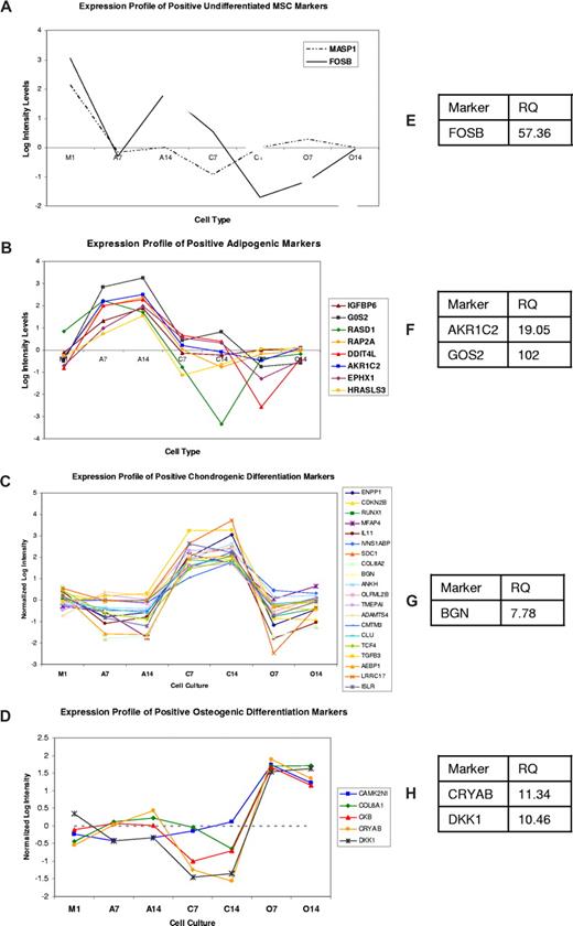 Figure 1. Differentially expressed genes selected using ANOVA yield good classifiers for undifferentiated MSCs and their lineages. The x-axis represents the different samples and the y-axis represent log intensity values. Assuming that high transcript levels correlate with strong protein expression, we filtered the post hoc analysis results for genes showing strong intensity for putative positive markers of MSCs. The filtering criterion was mean signal intensity (MSI)—the average signal intensity for a particular condition—of more than 1000 units. Based on analysis of genes with known expression levels, Illumina reported the intensity of 1000 units to correspond to a concentration of 10 pM of RNA. Similarly for differentiation markers, we identified genes with statistical significance between cells of that lineage and other lineages from the post hoc test. All putative markers show a strong up-regulation compared with the expression in other lineages. (A-D) Putative markers for undifferentiated MSCs and MSC-derived adipocytes, chondrocytes, and osteocytes as predicted by the microarray data. (E-H) Quantitative RT-PCR (qRT-PCR) validation of some of these markers. Relative quantification was calculated using the comparative Ct method. Expression of a gene in one lineage was compared with the expression of the same gene in pooled RNA from other lineages. This approach enabled a better comparison of qRT-PCR data with the array data and also indicated the specificity of these markers in a particular lineage. The tables show relative quantification (RQ) values of expression of these genes in the respective lineage compared with their expression in all other lineages.