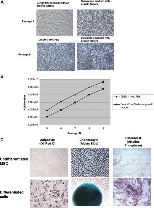 Figure 5. β-FGF, TGF-β, and PDGF are sufficient to support MSC growth in serum-free medium. (A) MSCs grown under serum-free conditions without growth factors displayed a flattened, fibroblastic morhpology, while cells grown in the presence of growth factors displayed a distinct spindle-shaped morphology, which was closer to the morphology displayed by MSCs. Micrographs were acquired with a Nikon Diaphot TMD microscope (Nikon, Melville, NY) fitted with a 20×/0.4 NA objective and a Moticam 2000 camera (Motic Instruments, Richmond, BC). (B) Human MSCs (passage 5) grown under serum-free conditions displayed robust expansion in the presence of the 3 growth factors, which was comparable with MSCs grown in DMEM containing 10% FBS. The initial seed number for MSCs in serum-containing cultures was 28 800, whereas in serum-free cultures the seed number was 96 600. This difference in initial seeding density was necessary, since the optimal cell density for serum-containing cultures was 3000 cells/cm2, whereas cells in serum-free medium grew best at a density of 10 000 cells/cm2. The total number of cells in each passage was calculated as a ratio of total number of cells harvested to total number of cells seeded multiplied by the total number of cells from the previous passage. Although 28 800 cells and 96 600 cells were seeded, respectively, in serum-containing and serum-free cultures at every passage, the total cell number was calculated as described above. This enabled us to compute the total numbers of cells we would have harvested if we had cultured all cells from each passage between passages 5 and 9. It is important to note that since the cultures started with different seed numbers, the final number of cells at each passage were proportionately different. (C) MSCs grown in serum-free medium retain their ability to differentiate into all 3 lineages. To induce differentiation, hMSC grown for 5 passages in serum-free medium were seeded under respective differentiation conditions, cultured for 14 days, and stained with Oil Red O (Adipocytes), Alcian Blue (Chondrocytes), and Alkaline Phosphatase (Osteoblasts). Adipocytes and chondrocytes at 10× magnification; osteoblasts at 4× magnification. Micrographs were acquired with a Nikon Diaphot TMD microscope fitted with a 10×/0.25 NA (Adipocyte & Chondrocyte) and a 4×/0.13 NA objective (Osteoblast) and a Moticam 2000 camera. Brightness and contrast of all images were adjusted using Adobe Photoshop Elements 5.0 (Adobe Systems, San Jose, CA).