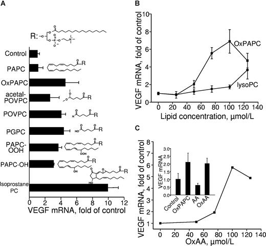 Figure 2. Lipid structural specificity of OxPL-induced up-regulation of VEGF mRNA. HUVECs were stimulated for 6 hours with indicated lipids resuspended in medium 199 containing 2% FCS. The incubation was terminated by Trizol, followed by RNA extraction and VEGF mRNA quantification by RT-qPCR. The expression levels of VEGF were normalized to those of β2-microglobulin mRNA. (A) HUVECs were stimulated with 130 μM of OxPAPC or individual OxPLs. (B) HUVECs were treated with increasing concentrations of OxPAPC or lysoPC. (C) The stimulation of HUVECs was performed by increasing concentrations of oxidized arachidonic acid (OxAA). (Inset) Results of HUVEC stimulation with 130 μM of OxPAPC, oxidized (OxAA) or unoxidized arachidonic acid (AA). Error bars represent SD.
