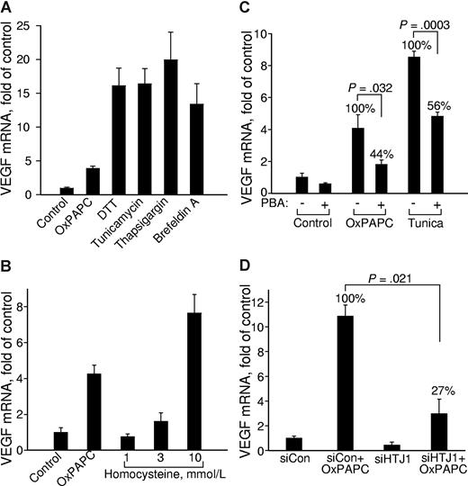 Figure 3. Unfolded protein response up-regulates VEGF mRNA. HUVECs were treated for 6 hours in medium 199/2% FCS containing (A) 130 μM OxPAPC, 1 mM dithiothreitol (DTT), 3 μg/mL tunicamycin, 1 μg/mL thapsigargin, or 6 μg/mL brefeldin A, or (B) with increasing concentrations of homocysteine dissolved in medium 199 containing 2% FCS. (C) HUVECs were preincubated overnight with or without 2.5 mM sodium PBA in full growth medium. On the next day, the cells were stimulated for 6 hours with 130 μM OxPAPC or 3 μg/mL tunicamycin in medium 199 containing 2% FCS with or without PBA. After mRNA isolation, levels of mRNA encoding for VEGF were quantified by RT-qPCR. (D) HUVECs were transfected with siRNA against HTJ1 or control siRNA. Forty-eight hours later, the cells were stimulated for 6 hours with 130 μM OxPAPC in medium 199 containing 2% FCS. The incubations were terminated by Trizol, followed by quantification of VEGF mRNA. The data are normalized to the levels of β2-microglobulin mRNA. Error bars represent SD.