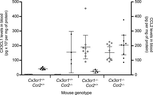 Figure 1. Comparative analysis of circulating CX3CL1 and CCL2 levels. Serum samples from Cx3cr1−/−, Ccr2−/−, and Cx3cr1−/−Ccr2−/− double-knockout mice were assayed by ELISA for the presence of CX3CL1 and CCL2, and results are shown in the left y-axis (open symbols) and right y-axis (filled symbols), respectively. Bars show mean value with 95% confidence interval (CI) of chemokine in pg/mg of protein. Each point represents an individual mouse.
