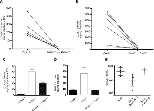 Figure 2. Reconstitution with wild-type bone marrow was sufficient to clear excess ligand. Serum levels of CX3CL1 (A) and CXCL1 (B) were measured by ELISA before and 6 weeks after bone marrow transfer. The results reveal that reconstitution with wild-type cells significantly decreased serum levels of ligands to levels comparable with wild-type mice. Similarly, measurement of chemokines in CNS tissue of mice shows that CX3CL1 (C) and CXCL1 (D) were reduced 6 weeks after reconstitution with wild-type bone marrow. Clearance of CX3CL1 by CX3CR1 was evaluated in an in vitro brain slice preparation (E). Bars show mean value with 95% CI of CX3CL1 in pg/mL. Each point represents a value from individual wells in 2 independent experiments.