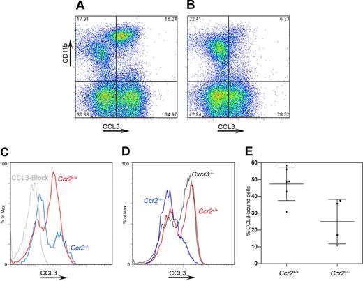 Figure 3. Impaired CCL3 binding in CCR2-deficient PBMCs. Peripheral blood mononuclear cells were assayed for CCL3 binding as a measurement of CCR1/CCR5 function by flow cytometry. When comparing wild-type (A) and Ccr2−/− (B) mice, a decreased percentage of CD11b+ cells shows CCL3 binding in cells lacking CCR2; a specificity control using a CCL3-blocking antibody is shown (C). Decreased CCL3 binding was not observed in other chemokine receptor–deficient lines with intact CCR2 expression, such as Cxcr3−/− mice (D). Graphed results (E) revealed a 50% reduction in CCL3 binding in cells lacking CCR2. Bars show mean value with SD. Each point in the bar represents an individual mouse.