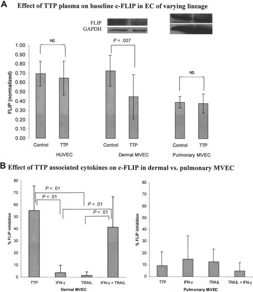 Figure 5. Effect of TTP plasma and TTP-associated cytokines on c-FLIP expression in pulmonary versus dermal MVECs. Levels of c-FLIP, normalized to GAPDH, were assessed by Western blotting 18 hours after exposure of ECs to normal plasma (2% vol/vol), TTP plasma (2% vol/vol), or cytokines. (A) Basal levels of c-FLIP in HUVECs and dermal MVECs were equivalent, and significantly greater than basal FLIP levels in pulmonary MVECs (summary of 4 experiments; P = .007). TTP plasma suppressed basal FLIP expression only in dermal MVECs (5 different TTP plasmas tested; P = .007). (B) TTP plasma (P < .01) and the combination of TRAIL (2 ng/mL) plus IFN-γ (0.1 ng/mL; P < .01) suppressed FLIP expression in dermal MVECs, while either cytokine alone had no effect. Neither TTP nor cytokine combinations significantly affected basal FLIP levels in pulmonary MVECs. Standard deviations for all mean values are provided.