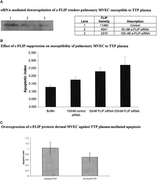 Figure 6. Effect of modulation of c-FLIP expression in pulmonary and dermal MVECs on their sensitivity to TTP plasma–mediated apoptosis. (A) Representative immunoblot for c-FLIP in pulmonary MVECs 18 hours after culture with 100 nM of control or 50 nM or 100 nM of anti-FLIP siRNA. (B) Effect of anti-FLIP siRNA on susceptibility of pulmonary MVECs to TTP plasma. Cells were exposed to siRNAs for 18 hours followed by addition of TTP plasma (2% vol/vol) and an additional 18-hour culture. Apoptosis was assessed by ELISA-based quantitation of DNA-histone complexes in cell lysates. The apoptotic index was significantly increased over baseline (MVECs treated with control siRNA) when pulmonary MVEC were treated with either 50 nM (P < .001) or 100 nM (P < .001) of anti-FLIP siRNA, then exposed to 2 different TTP plasmas. (C) Dermal MVECs were infected with adenovirus-bearing null or c-FLIP-coding sequences for 18 hours, followed by addition of control or TTP plasmas (2% vol/vol) and an additional 18 hours of incubation. Apoptosis, assessed as in panel B, was significantly reduced by AdFLIP treatment (P = .01). Buffer alone gave an index of 0.4. Standard deviations for mean values are provided.