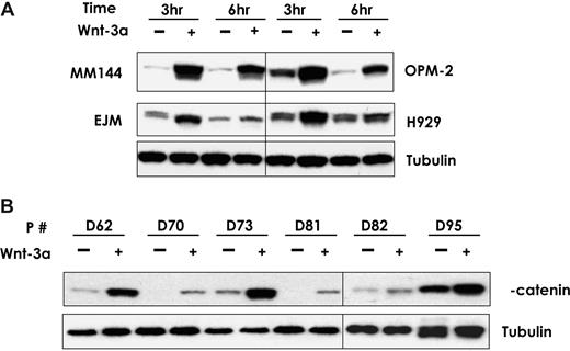 Figure 1. Wnt3a stabilizes β-catenin in MM cell lines and primary MM plasma cells. The myeloma cells were treated with Wnt3a-CM or Cont-CM for the indicated time (A). Primary CD138-selected plasma cells from 6 patients with MM confirmed by flow cytometry analysis were treated with Wnt3a-CM or Cont-CM for 3 hours (B). Proteins isolated from the above-treated cells were subjected to Western blotting analysis as described in “Wnt3a stabilizes β-catenin in MM cells.” Total β-catenin was determined by using an antibody that recognized the protein. The vertical lines have been inserted to indicate different gels used.