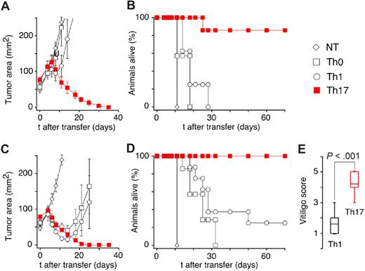 Figure 4. Th17-polarized TRP-1 cells are highly efficient in mediating the rejection of established B16 melanoma tumor upon adoptive cell transfer. (A) C57BL/6 mice B16 tumors that were sublethally irradiated (5 Gy TBI) were left untreated as controls (NT) or received adoptive transfer of 1 × 106 Th0-, Th1-, or Th17-polarized TRP-1 T cells. Th17-treated animals displayed a statistically significant greater tumor regression compared with other groups (P = .001 vs Th0- and Th1-treated groups) that were not different from NT group (P > .05). Results for tumor area are the mean of measurements from at least 5 mice per group (± SEM). Data shown are representative of multiple independent experiments. (B) Percentage of animals alive following treatment described in panel A (n = 5-7, Th1 vs Th17 P < .001). (C) C57BL/6 mice B16 tumors were sublethally irradiated and left untreated as control (NT) or received adoptive transfer of 1 × 106 Th0-, Th1-, or Th17-polarized TRP-1 T cells. In addition, mice received intravenous dose of recombinant TRP-1 vaccinia virus vaccine (rVV) immediately following cell transfer. IL-2 (36 ng/dose) was injected intraperitoneally twice daily for 3 days. Statistically significant tumor regression compared with NT group was observed in all treatment groups. The group treated with Th17 cells had a response significantly better than the Th0-treated group (P < .01), while there was no statistical difference between Th1- and Th17-injected groups (P = .175, n = 5). (D) Percentage of animals alive following treatment described in panel C (combined data from 2 independent experiments (n = 7–14, Th1 vs Th17; P < .001). (E) Animals surviving treatment with Th1 TRP-1 cells, rVV TRP-1 vaccine, and IL-2 developed less vitiligo than mice treated with Th17 TRP-1 cells, vaccination, and IL-2. Vitiligo score: 0 indicates no vitiligo (wild type); 1, depigmentation detected; 2, more than 10% vitiligo; 3, more than 25% vitiligo; 4, more than 50% vitiligo; and 5, more than 75% vitiligo. Evaluation was performed approximately 3 to 4 months after adoptive cell transfer.