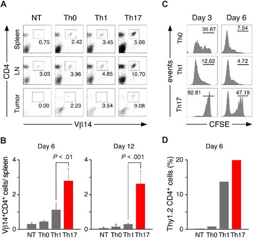 Figure 5. Th17-polarized TRP-1 cells have a survival advantage after adoptive transfer into tumor-bearing hosts. (A) Spleens, lymph nodes, and tumors were harvested on day 6 from nontreated animals (NT) or animals treated with Th0, Th1, or Th17 cells and analyzed by flow cytometry for expression of Vβ14 and CD4. The panel is representative of 4 distinct experiments. (B) The total number of Vβ14+CD4+ cells recovered from spleens of treated animals on days 6 and 12 was calculated as described in “Methods” (± SD, n = 3-4). (C) In vivo proliferation of polarized TRP-1 cells. CFSE-labeled Th0, Th1, or Th17 (Thy1.2+) cells were adoptively transferred into 500 R irradiated B6.PL hosts (Thy1.1+). Splenocytes were harvested on days 3 and day 6 and analyzed by flow cytometry. Histograms show CFSE fluorescence after gating on Thy1.2+ population. Th0 and Th1 displayed a greater dilution of the florescent dye compared with Th17 cells. (D) Polarized TRP-1 T cells (Thy1.2+) were transferred into sublethally irradiated tumor-bearing B6.PL (Thy1.1+) hosts. The frequency of Th1.2+CD4+ cells in tumor-draining lymph nodes pooled from at least 3 animals/group was measured by flow cytometry 6 days after adoptive cell transfer.