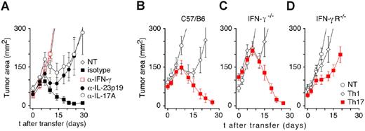 Figure 6. Th17-polarized TRP-1 CD4+ T cells reject tumor in an IFN-γ–dependent mechanism. (A) In vivo neutralization of cytokines after adoptive transfer of Th17 TRP-1 cells. Sublethally irradiated (500 R) tumor-bearing C57BL/6 mice were treated with 1 × 106 Th17 TRP-1 cells and injected intraperitoneally every other day with 100 μg neutralizing antibodies directed against IFN-γ, IL-17A, IL-23, or isotype control antibody. Results for tumor area are the mean of measurements from at least 5 mice per group (± SEM). Data shown are representative of 3 independent experiments (NT vs Th17, P = .003; NT vs Th17 anti–IFN-γ, P = .558; Th17 isotype vs Th17 anti–IL-17A, P = .117; Th17 isotype vs Th17 anti–IL-23, P = .754). (B) Tumor-bearing C57BL/6, (C) IFN-γ−/−, and (D) IFN-γ receptor–deficient (IFN-γR−/−) mice were treated with 1 × 106 Th1- and Th17-polarized TRP-1 CD4+ T cells. Tumor growth was measured as described previously (± SEM, n = 5-8; NT vs Th17, P < .001 in C57/BL6 hosts, P < .05 in IFN-γ−/− hosts, and P < .05 in IFN-γR−/− hosts).