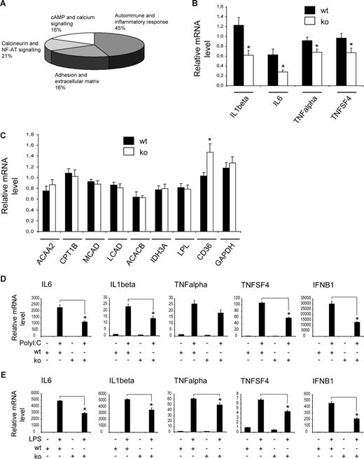 Figure 1. Proinflammatory gene expression is impaired in primary RIP140 knockout macrophages. (A) Pathway analysis of differential gene expression in wild-type and RIP140 knockout primary macrophages. Significantly changed pathways are shown. Percentage of genes associated with the corresponding pathway among all genes within the 4 pathways indicated. (B) Real-time PCR analysis of mRNA levels for IL-1β, IL-6, TNFα, and TNFSF4, in bone marrow–derived macrophages from wild-type (wt) or RIP140 knockout (ko) littermates. (C) Real-time PCR analysis of mRNA levels for ACAA2, CPT1B, MCAD, LCAD, ACACB, IDH3A, LPL, CD36, and GAPDH in same animals as in panel B. (D,E) Real-time PCR analysis of mRNA levels for IL-6, IL-1β, TNFα, TNFSF4, and IFNB1 in bone marrow–derived macrophages from wild-type (wt) or RIP140 knockout (ko) littermates. Cells were treated with polyI:C (10 μg/mL) for 6 hours (D) or LPS (10 ng/mL) for 2 hours (E) or left untreated as indicated. Data are means plus or minus SEM (n ≥ 3, each done in duplicate). *P < .05.
